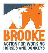Brooke Action for Working Horses and Donkeys